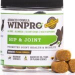 WINPRO Hip & Joint Supplement for Dogs – Plasma Powered Soft Chews for Joint Health & Mobility – Fast-Acting with Collagen & Natural Ingredients for Dogs of All Breeds – 60 Chews