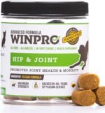 WINPRO Hip & Joint Supplement for Dogs - Plasma Powered Soft Chews for Joint Health & Mobility – Fast-Acting with Collagen & Natural Ingredients for Dogs of All Breeds – 60 Chews