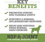 WINPRO Hip & Joint Supplement for Dogs - Plasma Powered Soft Chews for Joint Health & Mobility – Fast-Acting with Collagen & Natural Ingredients for Dogs of All Breeds – 60 Chews - Image 2