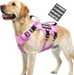 WINSEE Escape Proof Dog Harness with Double Handle+4 Removable Patches