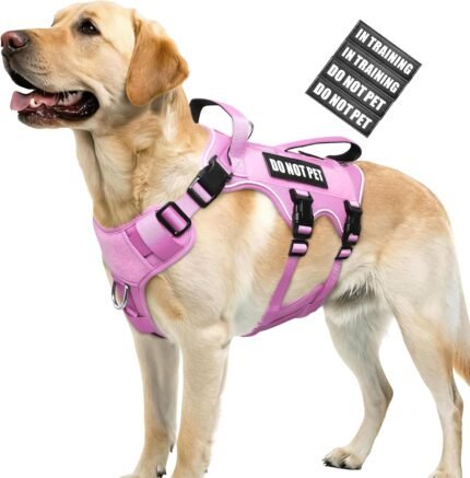 WINSEE Escape Proof Dog Harness with Double Handle+4 Removable Patches