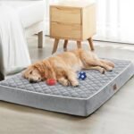 WNPETHOME Orthopedic Waterproof XL Dog Bed for Crate Cozy Sleep