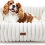 Washable Dog Bed for Small Medium Dogs, Rectangle Orthopedic Pet Bed with Removable Cover, Fluffy Memory Foam Dog Beds with Anti-Slip Bottom, Cream (25x21x7 inches)