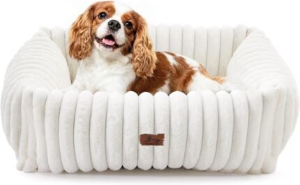 Washable Dog Bed for Small Medium Dogs, Rectangle Orthopedic Pet Bed with Removable Cover, Fluffy Memory Foam Dog Beds with Anti-Slip Bottom, Cream (25x21x7 inches)