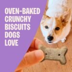 Wellness Old Mother Hubbard Classic Original Mix Dog Biscuits, Natural Training Treats, 4 Flavors, Small Size, 6 lb Bag - Image 2