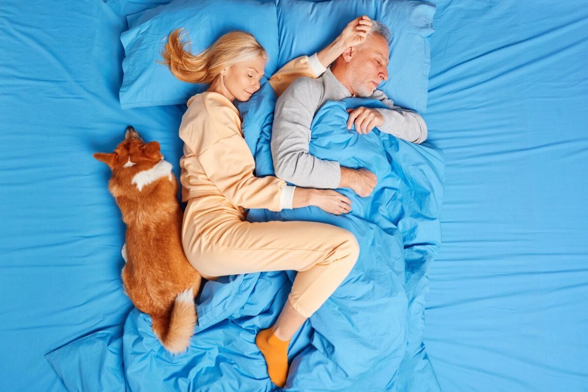 Study: Who is disrupting whom? Examining the nighttime activity patterns of humans and their dogs. Image Credit: Cast Of Thousands / Shutterstock