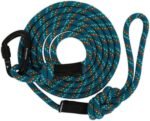 Wilderdog Carabiner Climbing Rope Dog Leash for Medium & Large Dogs - 5ft - Pacific Blue