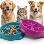 WinTour 2 Pack Slow Feeder Dog Bowls, BPA Free, Medium & Small Dog Bowls