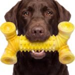 WinTour Tough Dog Toys for Aggressive Chewers, Durable Dog Chew Toys