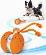 Xeuch Interactive Dog Ball, Irregular Rolling and Motion Activated Toy