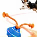 Xeuch Interactive Dog Ball Toy, ETPU Rotating Motion, Rechargeable