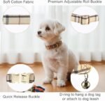 Yizepet Dog Collar and Leash - Adjustable pet Collar for Dogs with Metal Buckle Collar, Stylish Pattern for Small Medium or Large Boy and Girl Dog and Cat - Image 2