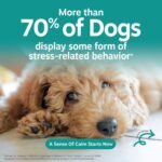 Zesty Paws Calming Chews for Dogs - Dog Calming Supplement, PB, 90 Ct - Image 2