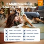 Zesty Paws Dog Multivitamin + Glucosamine for Dogs - Peanut Butter, 90 Ct - Image 2