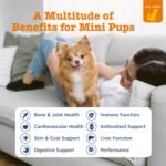 Zesty Paws Dog Vitamins - Dog Multivitamins, Mini, Chicken, 90 Ct - Image 2