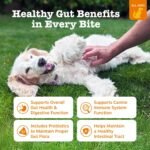 Zesty Paws Probiotics for Dogs - Gut Health Soft Chews, Pumpkin, 90 Ct - Image 2