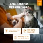 Zesty Paws Salmon Oil for Dogs & Cats - Omega 3 for Dogs, 16 oz - Image 2