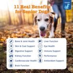 Zesty Paws Senior Dog Vitamins + Glucosamine for Dogs, Chicken 90ct - Image 2