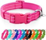 azuza Reflective Dog Collar, Neoprene Padded Small Dog Collar, Hot Pink, S