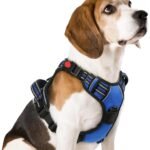 rabbitgoo Dog Harness Medium Sized, Updated Easy On & Off with 3 Buckles