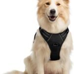 rabbitgoo Dog Harness, No Pull Medium Sized with 2 Leash Clips, Pet Vest