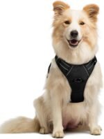 rabbitgoo Dog Harness, No Pull Medium Sized with 2 Leash Clips, Pet Vest
