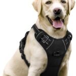 rabbitgoo Dog Harness, No Pull for Large Dogs with 2 Leash Clips, Pet Vest