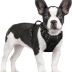 rabbitgoo Dog Harness, No Pull for Small Dogs with 2 Leash Clips, Pet Vest