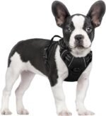 rabbitgoo Dog Harness, No Pull for Small Dogs with 2 Leash Clips, Pet Vest