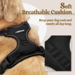 rabbitgoo Dog Harness, No Pull for Small Dogs with 2 Leash Clips, Pet Vest - Image 2