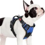 rabbitgoo Dog Harness Small Sized, Updated Easy On & Off with 3 Buckles