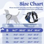 rabbitgoo Dog Harness Small Sized, Updated Easy On & Off with 3 Buckles - Image 2