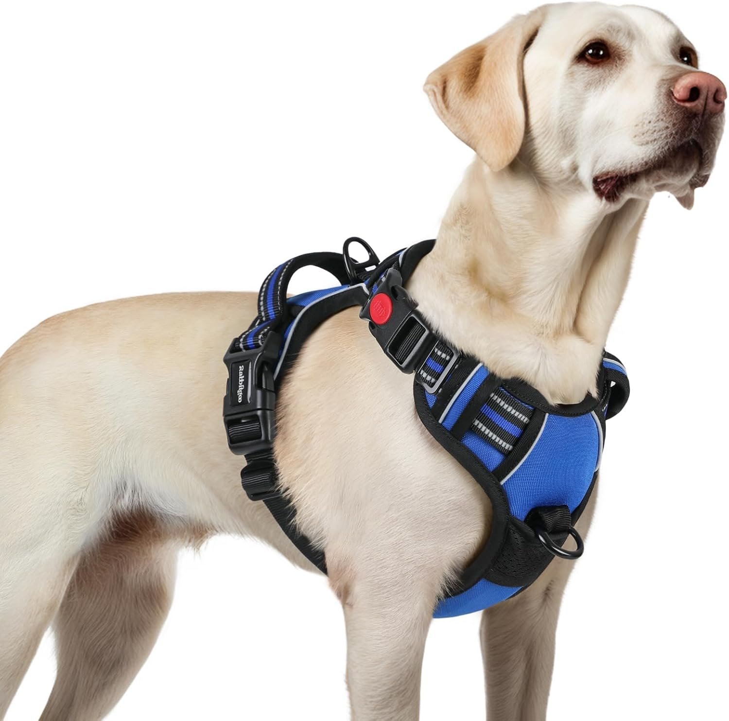 rabbitgoo Dog Harness for Large, Updated Easy On & Off with 3 Buckles rabbitgoo Dog Harness for Large, Updated Easy On & Off with 3 Buckles