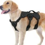 rabbitgoo Escape Proof Dog Harness for Large, No Pull with Lift Handle
