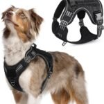 rabbitgoo Tactical Dog Harness for Medium, No Pull Military Service Vest