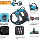 tobeDRI No Pull Dog Harness Adjustable Reflective Oxford Easy Control Medium Large Dog Harness with A Free Heavy Duty 5ft Dog Leash, Turquoise, L - Image 2